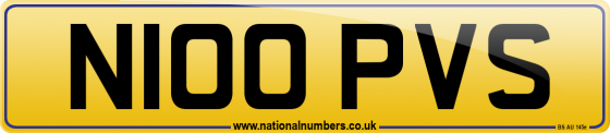 N100 PVS