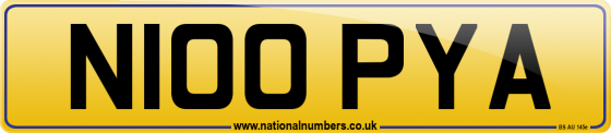 N100 PYA