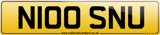 N100 SNU