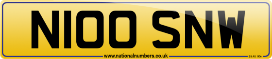 N100 SNW