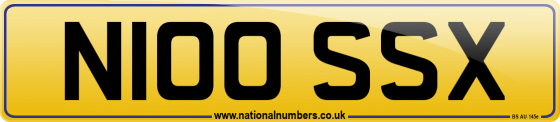 N100 SSX