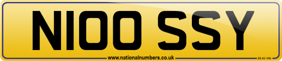 N100 SSY