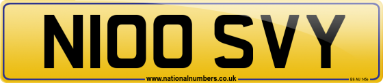 N100 SVY