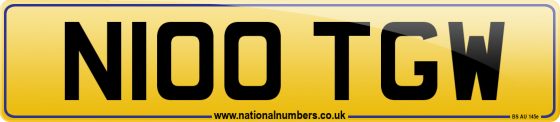 N100 TGW
