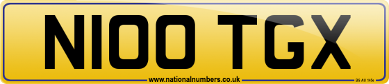 N100 TGX