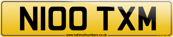 N100 TXM