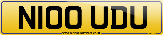 N100 UDU