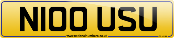 N100 USU