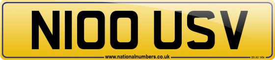 N100 USV