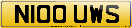 N100 UWS