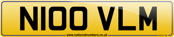 N100 VLM