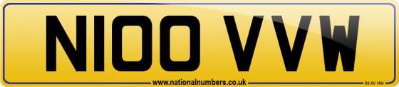 N100 VVW