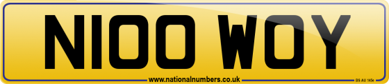 N100 WOY