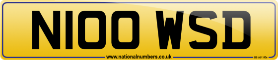 N100 WSD