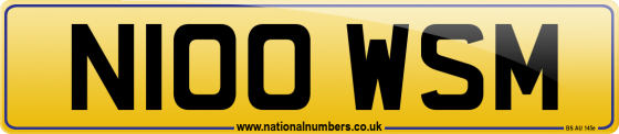 N100 WSM