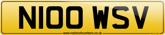 N100 WSV