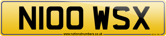 N100 WSX
