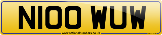 N100 WUW