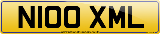 N100 XML