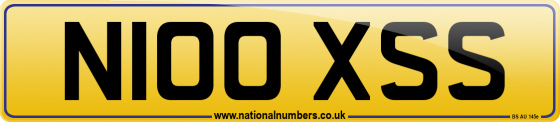 N100 XSS
