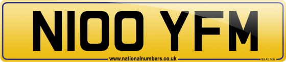 N100 YFM
