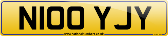 N100 YJY