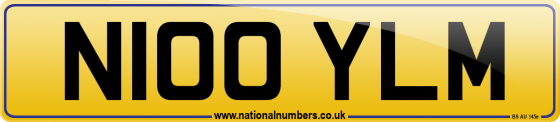 N100 YLM