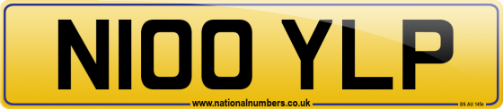 N100 YLP