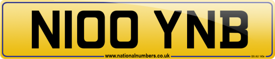 N100 YNB
