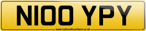 N100 YPY