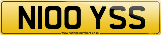 N100 YSS