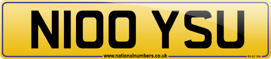 N100 YSU