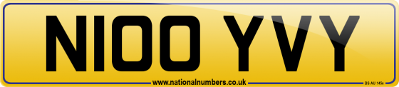 N100 YVY