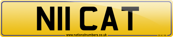 N11 CAT
