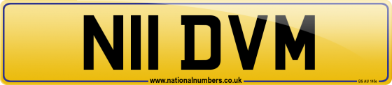 N11 DVM