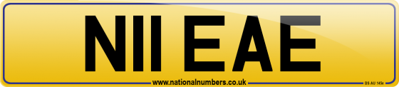 N11 EAE