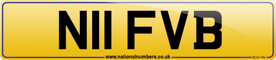 N11 FVB