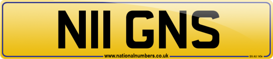 N11 GNS