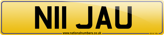 N11 JAU