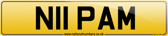 N11 PAM