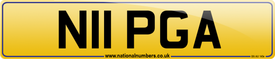 N11 PGA