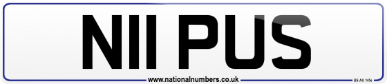 N11 PUS