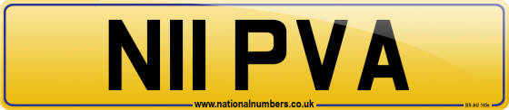 N11 PVA