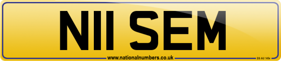N11 SEM