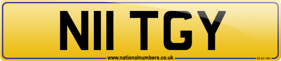 N11 TGY