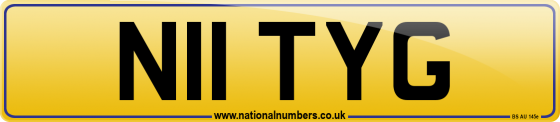 N11 TYG