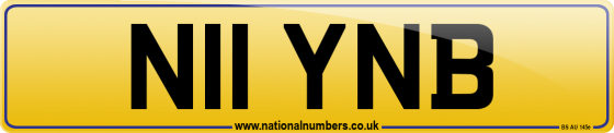 N11 YNB
