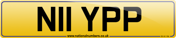N11 YPP