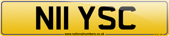 N11 YSC