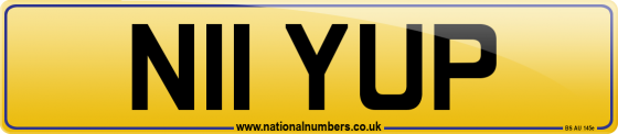 N11 YUP